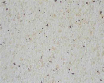 成都真石漆涂膜容易發花的原因